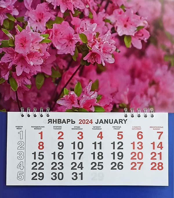 Фото календаря одноблочного № 42 Розовые цветы