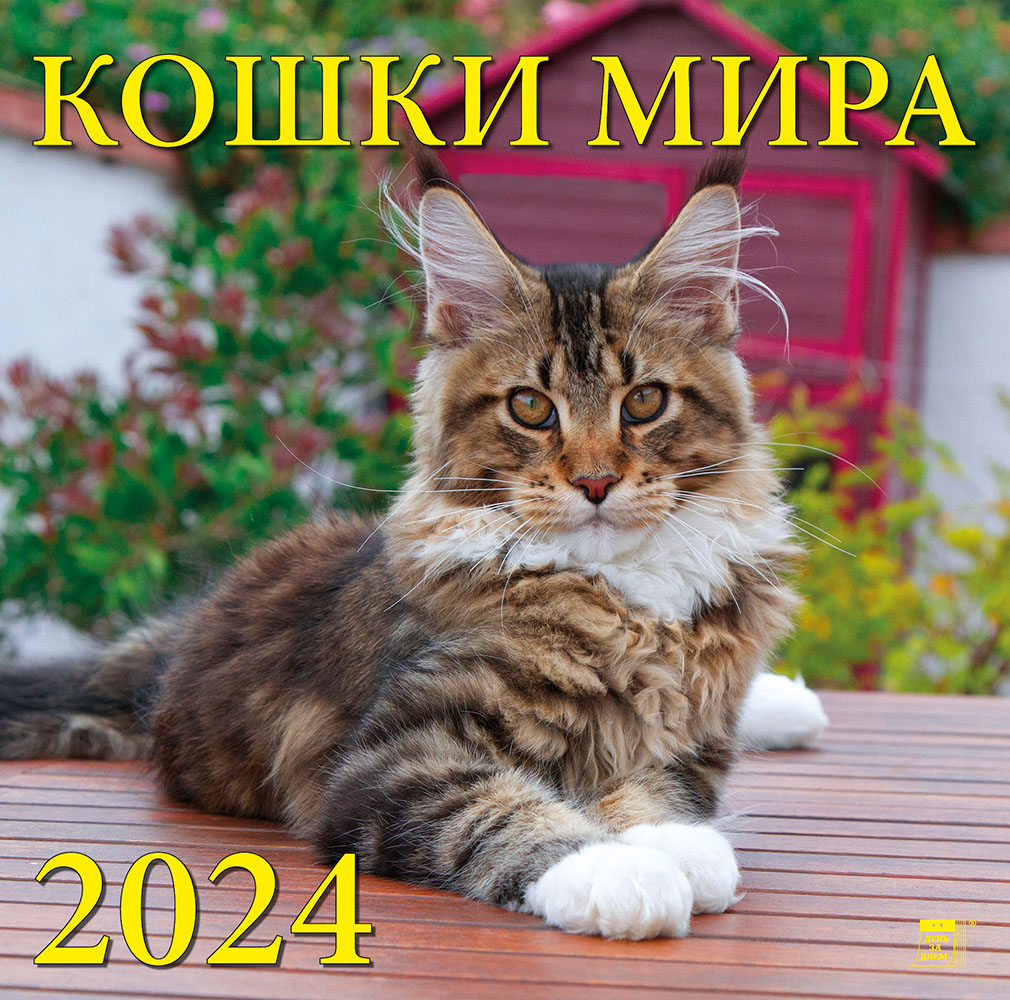 Фото календаря Кошки мира