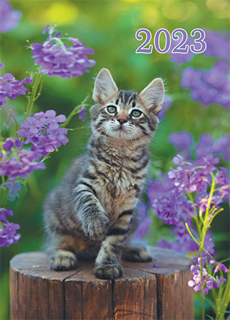 Фото карманного календаря №  61 Домашние животные